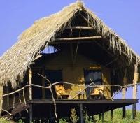 Crater Forest Tented Camp